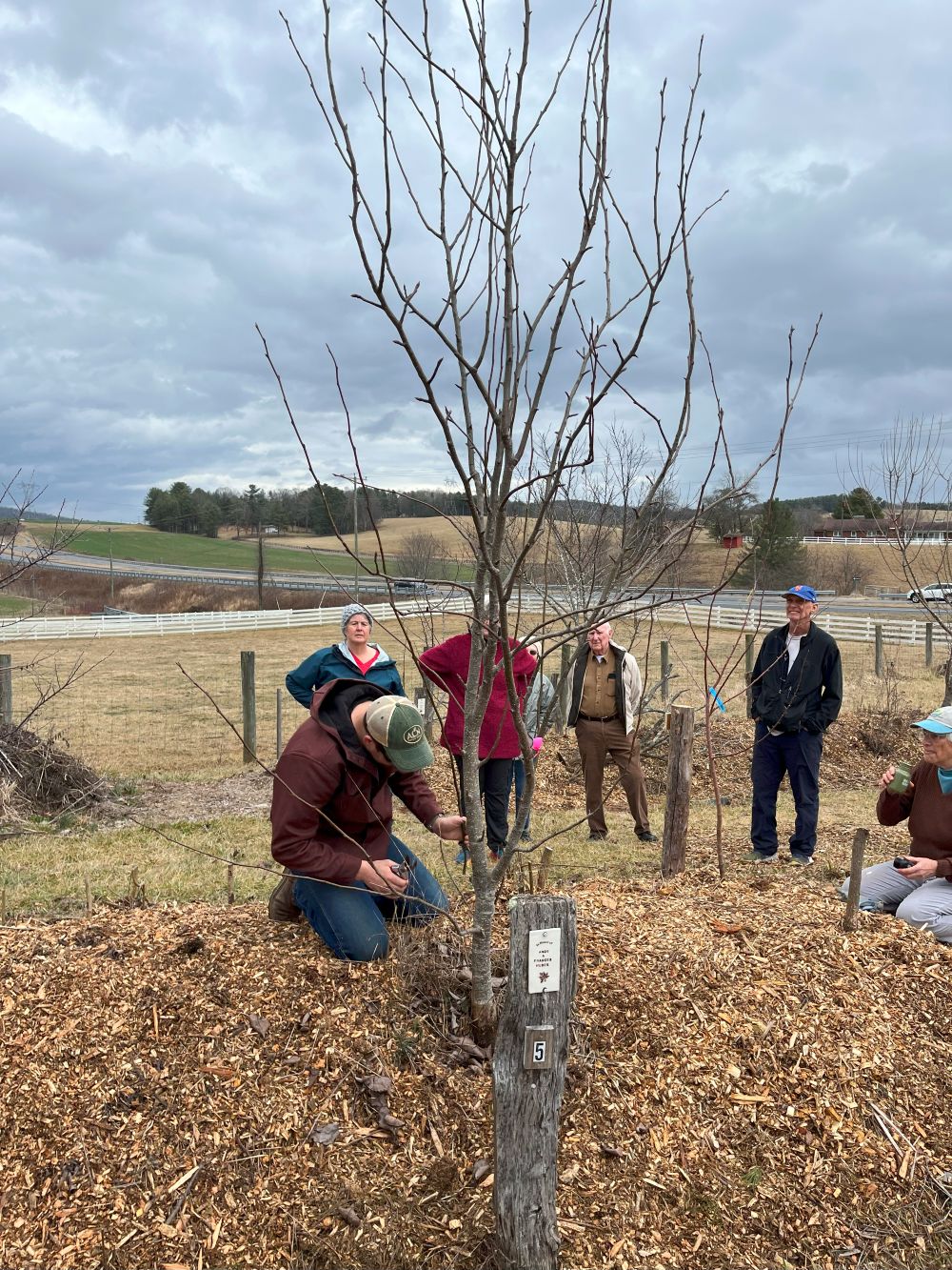 Free Pruning Workshop