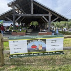 Thanksgiving Market