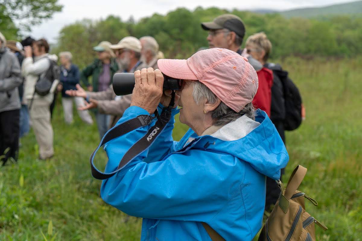 Mount Rogers Spring Naturalist Rally